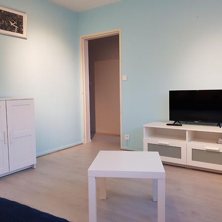 Le Bellevue Apartman Colmar Kültér fotó