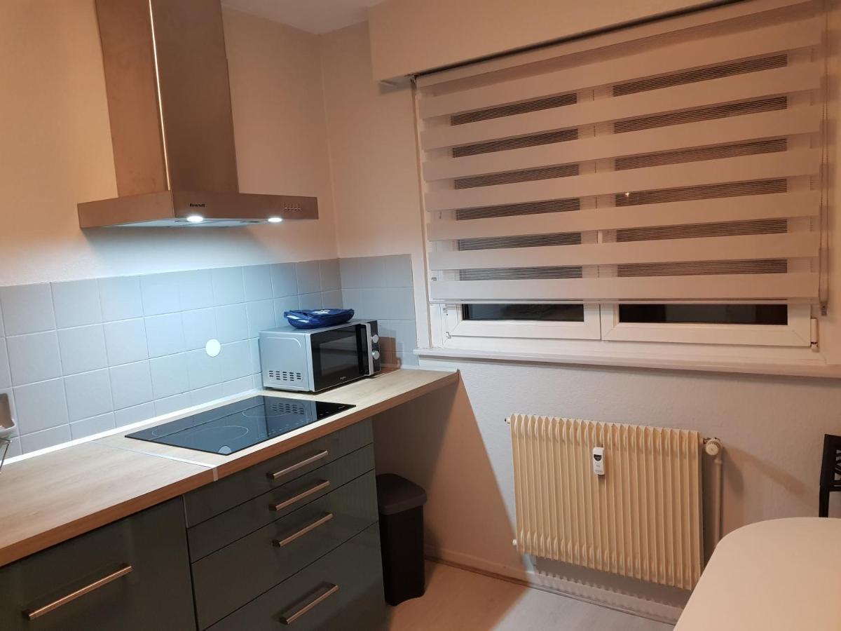 Le Bellevue Apartman Colmar Kültér fotó