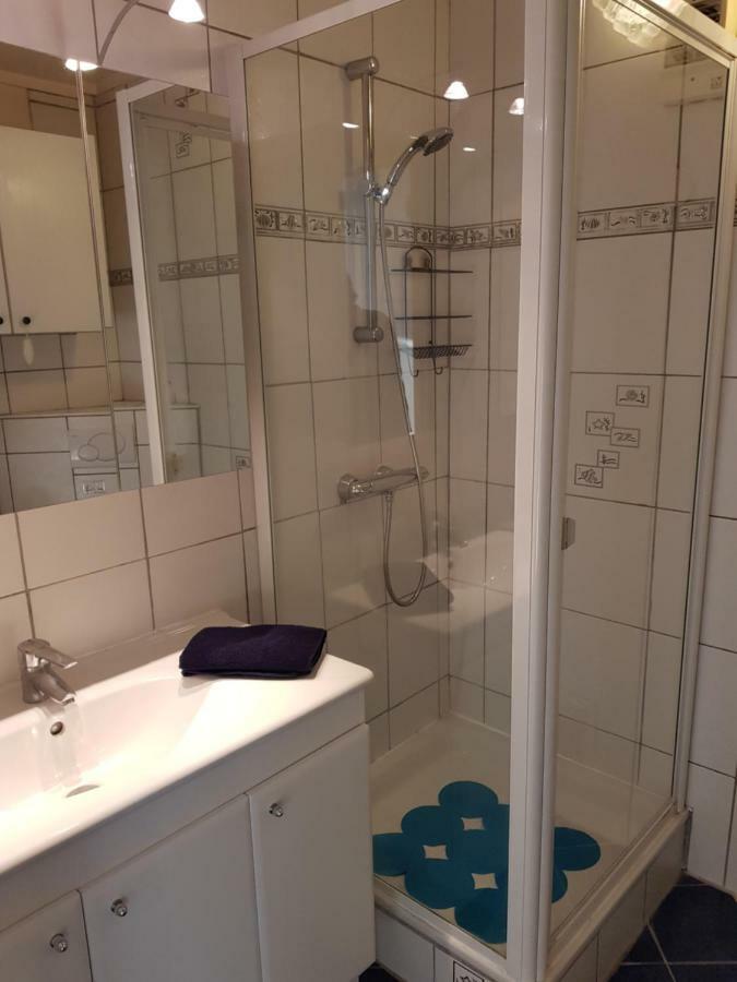 Le Bellevue Apartman Colmar Kültér fotó